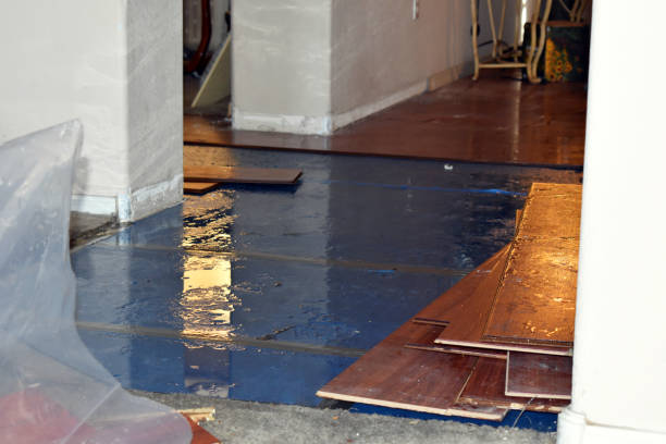 Professional Flood Cleanup technician working in Ludington, MI